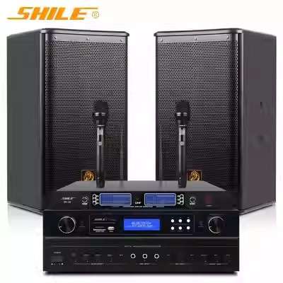 狮乐 OK-555C/BX-110 会议室音响套装家庭KTV功放壁挂音箱组合 - 图1