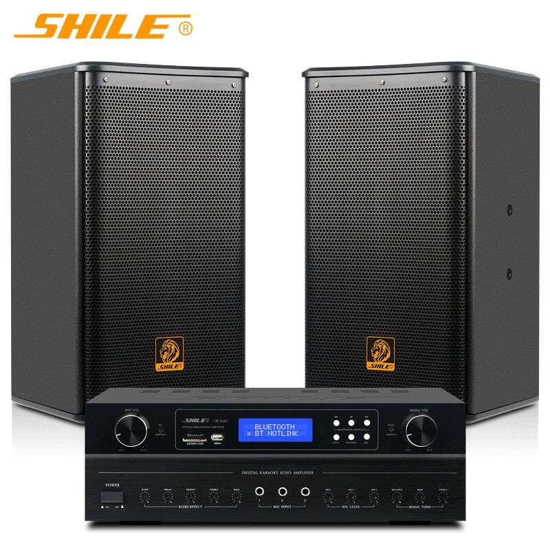 狮乐 OK-555C/BX-110 会议室音响套装家庭KTV功放壁挂音箱组合 - 图0