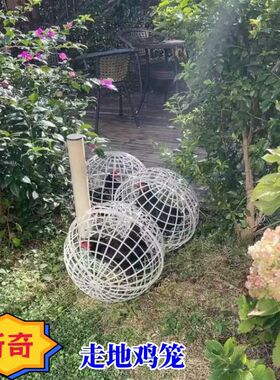 网红走地鸡笼子塑料球形鸡笼圆形兔笼可滚动风景区走动觅食散养鸡