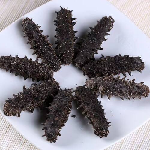 大连纯野生淡干海参干货500克刺参辽参非即食海参130-150头 - 图0