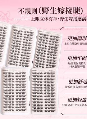 【立减30】新款三折叠睫毛书春知晓免胶假睫毛囤货装初学者js65