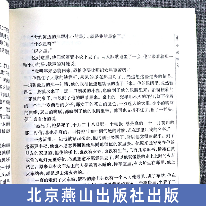 全新正版 郁达夫精选集 世纪文学60家书系 郁达夫著 小说散文作品集文集 中国现代文学大家精品馆藏经典 现当代文学 北京燕山 - 图2