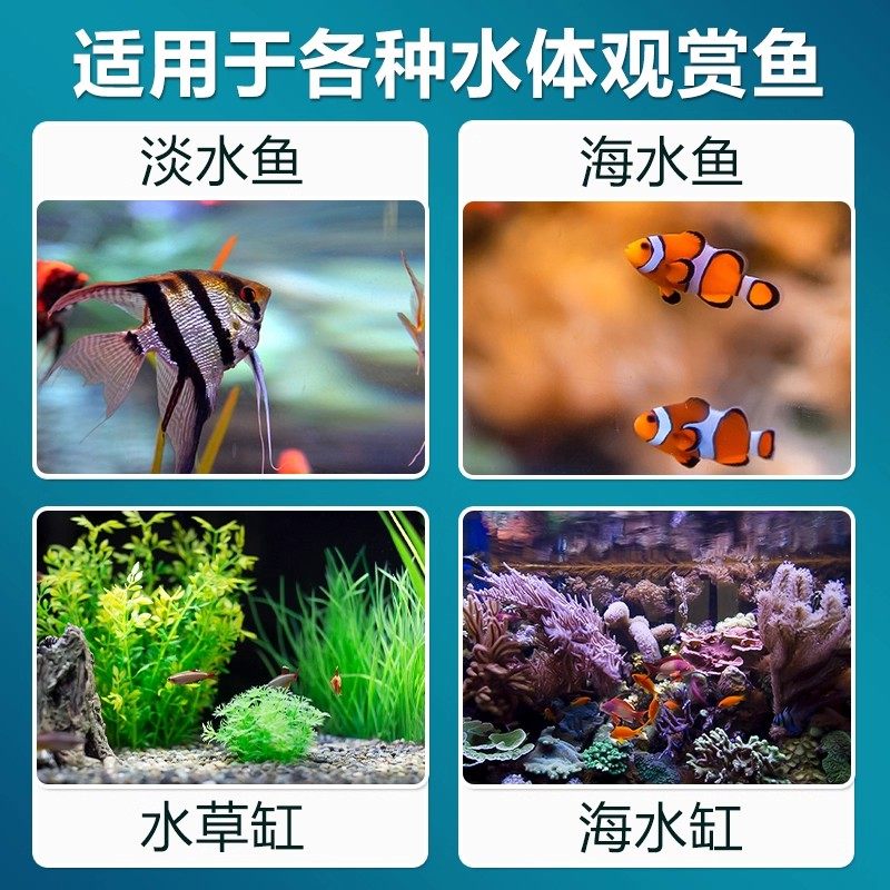 珊瑚骨鱼缸过滤材料水族珊瑚砂海鲜缸水产优质天然珊瑚石鱼池滤材,淘宝优惠券,粉丝福利购,淘宝优惠卷