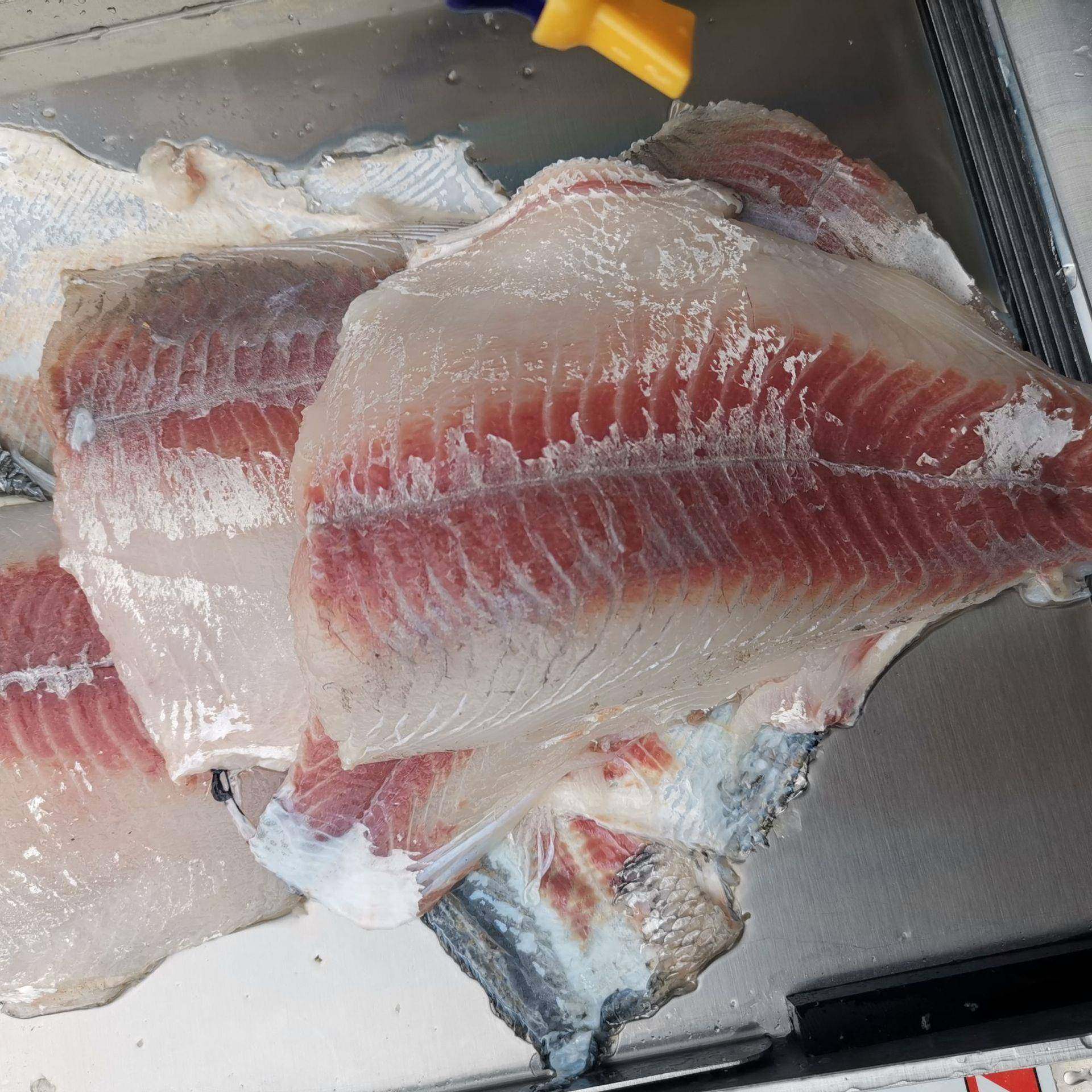 小型台式鱿鱼去鱼皮机厂家 草鱼电动剥皮机 罗非鲜鱼不锈钢扒皮机,淘宝优惠券,粉丝福利购,淘宝优惠卷