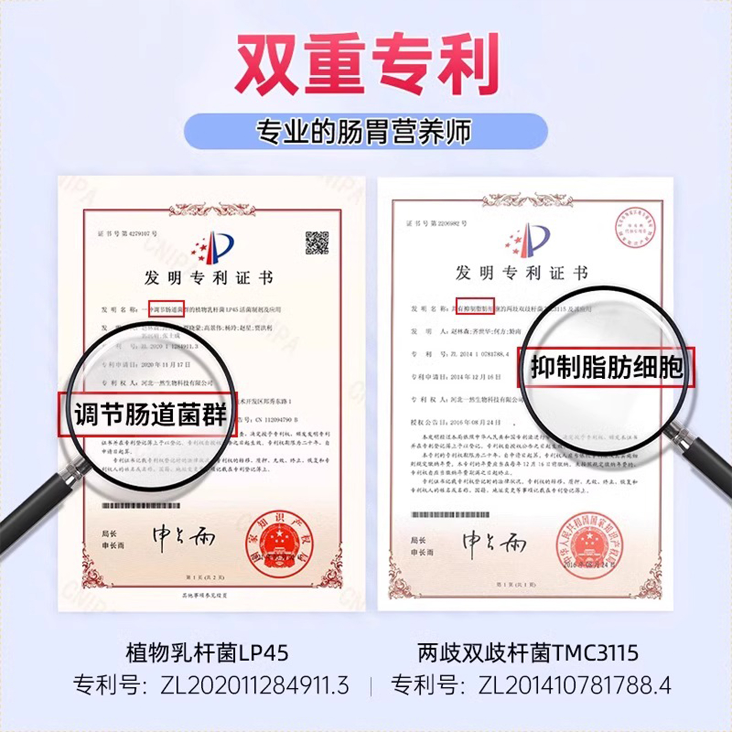 江中利活益生菌肠胃肠道益生菌高活即食益生菌4000亿双歧杆菌 - 图2