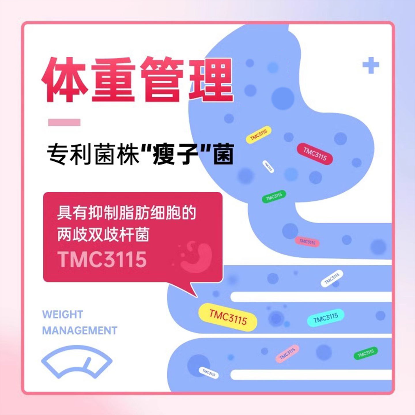 江中利活益生菌肠胃肠道益生菌高活即食益生菌4000亿双歧杆菌 - 图1