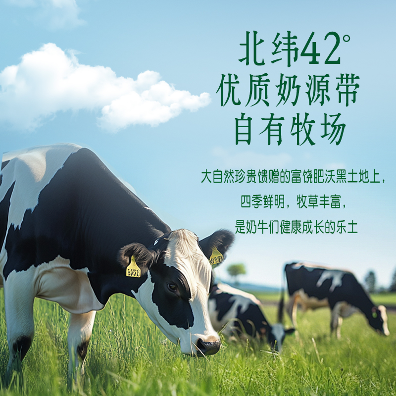 辉山经典3.3g纯牛奶200ml生牛乳小盒量贩装儿童早餐奶官方正品