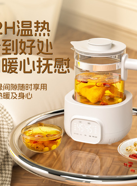 兮滋滋养生壶家用多功能煮茶器办公室小型茶壶加厚玻璃保温烧水壶