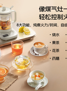 兮滋滋新款养生壶办公室小型大果篮烧水整果炖煮一体多功能煮茶器