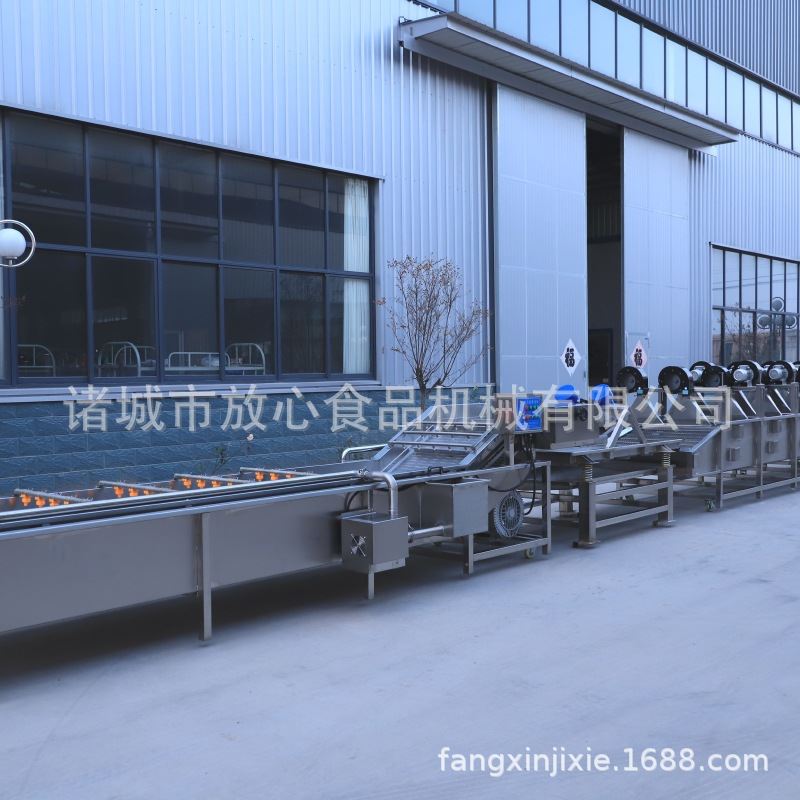 山菜清洗机 全自动蔬菜气泡喷淋清洗机 不锈钢蔬菜清洗机厂家定制 - 图0