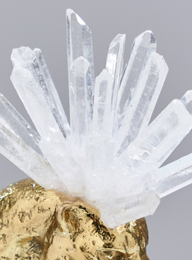 金钱豹子水晶球酒柜装饰品摆件现代轻奢玄关隔断柜办公室书柜摆设