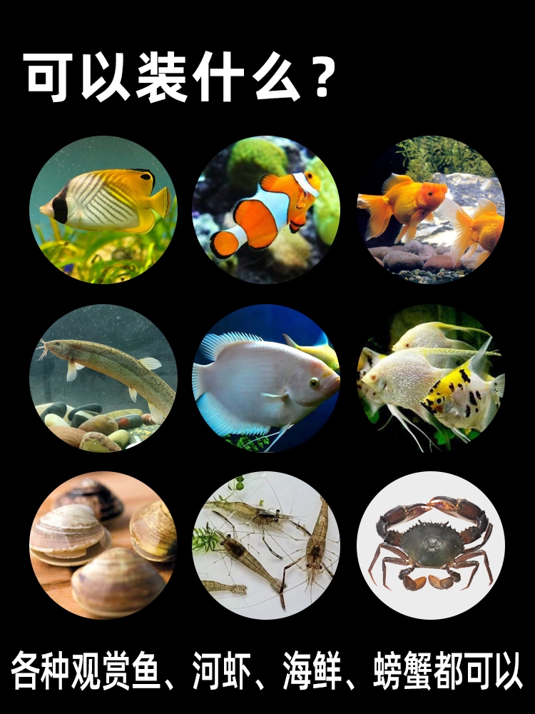 【批发价格】水族打包袋活鱼观赏鱼包装袋运输氧气袋装鱼的袋子 - 图2