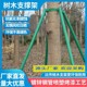 Support pole landscaping tree support support frame