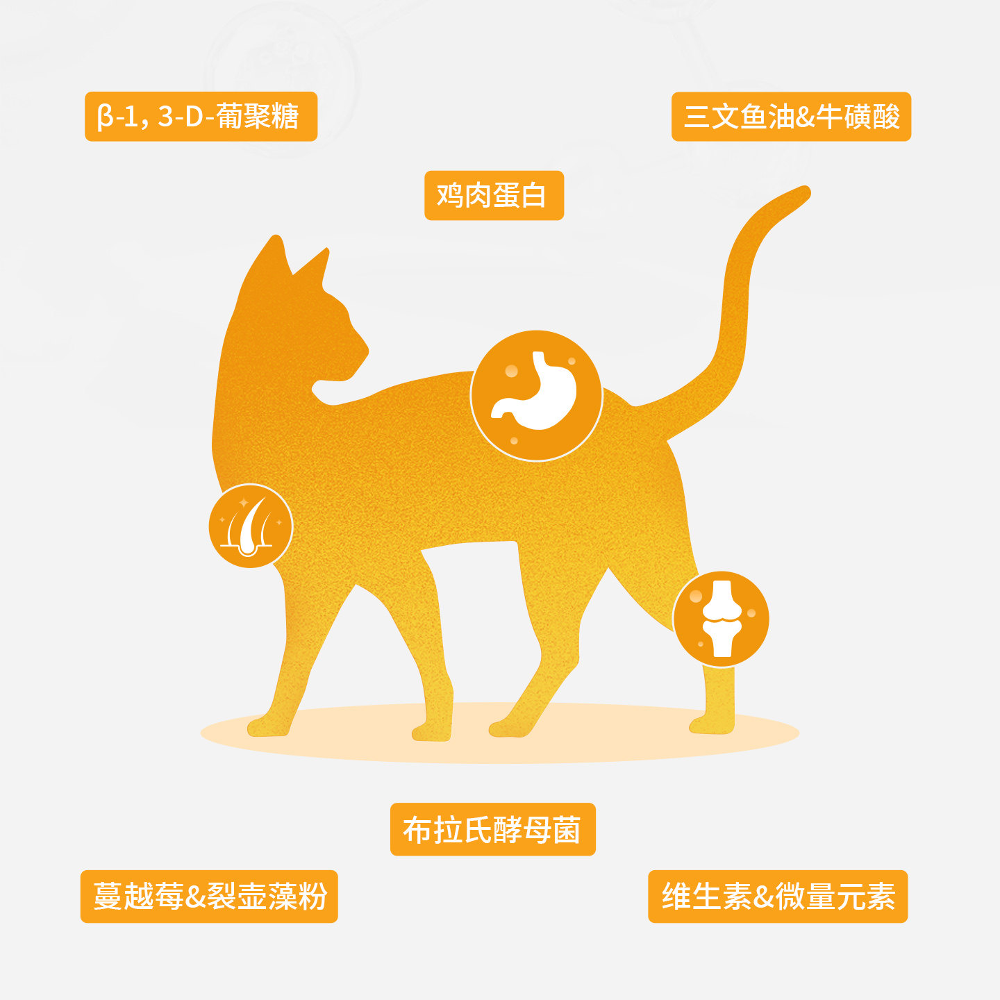 佩予冻干猫粮成猫幼猫通用布偶英短美短营养试吃装猫粮*10袋,淘宝优惠券,粉丝福利购,淘宝优惠卷