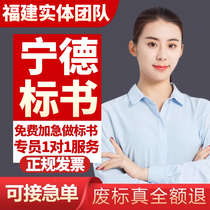 Fujian Ningde tender document production agency tendering agency writing tender documents company agency procurement tender project cost budget