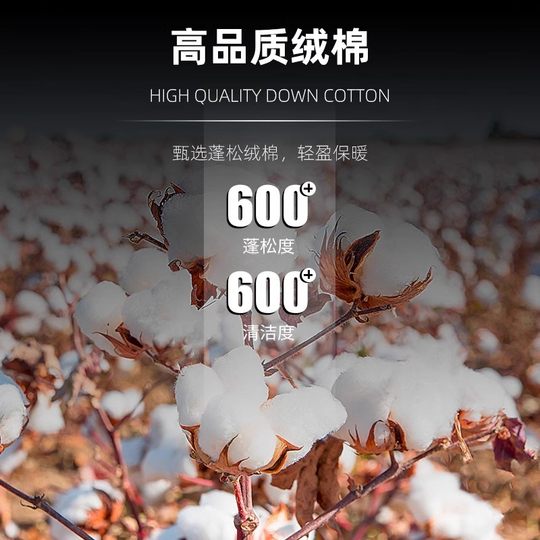 Kalmei cotton non-down jacket short cotton-padded jacket for men and women