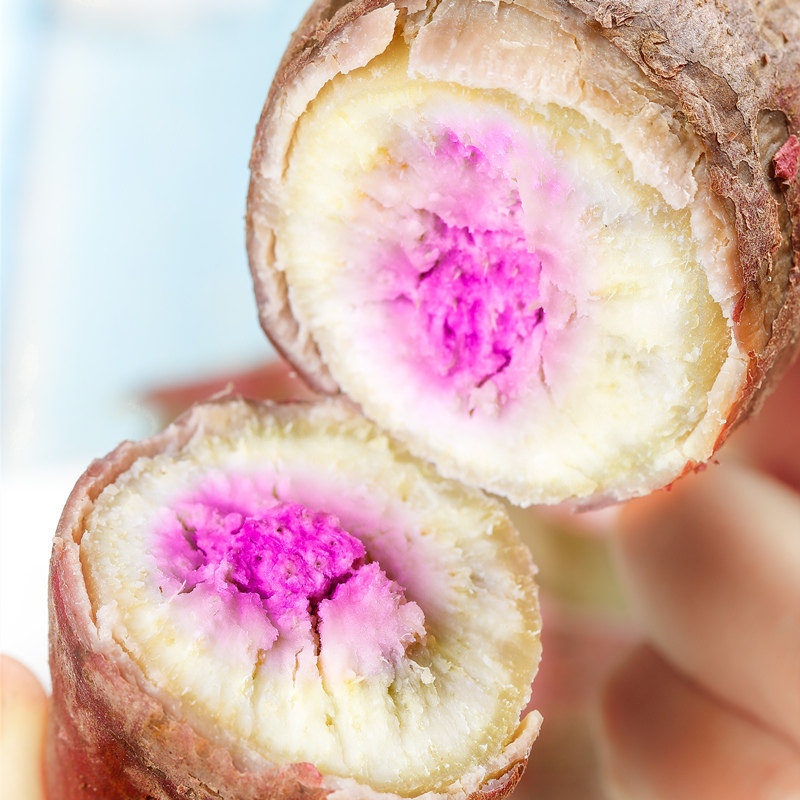  黄六爷四季鲜番薯