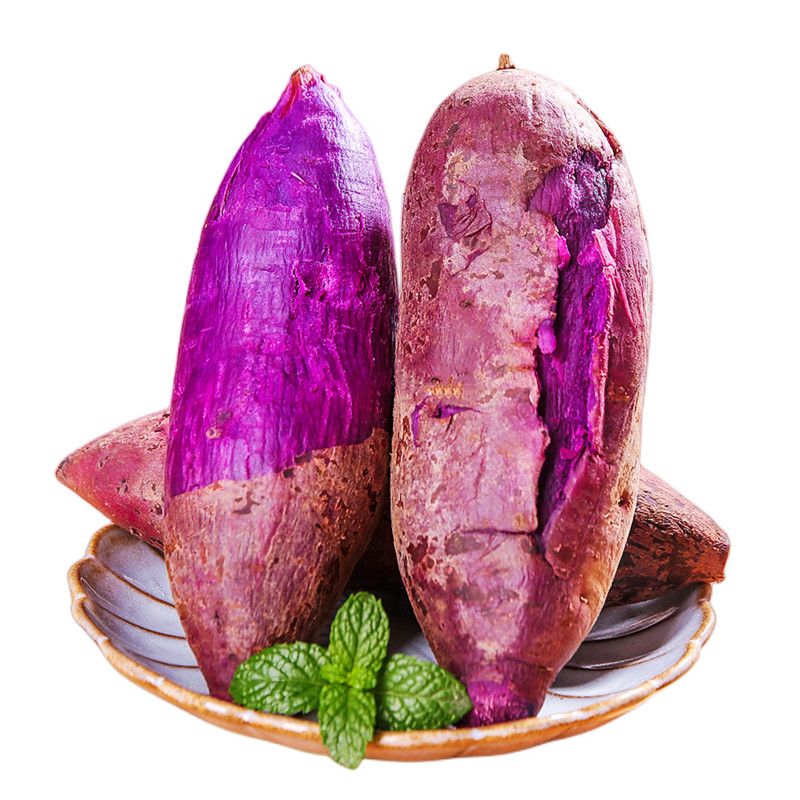  黄六爷四季鲜番薯