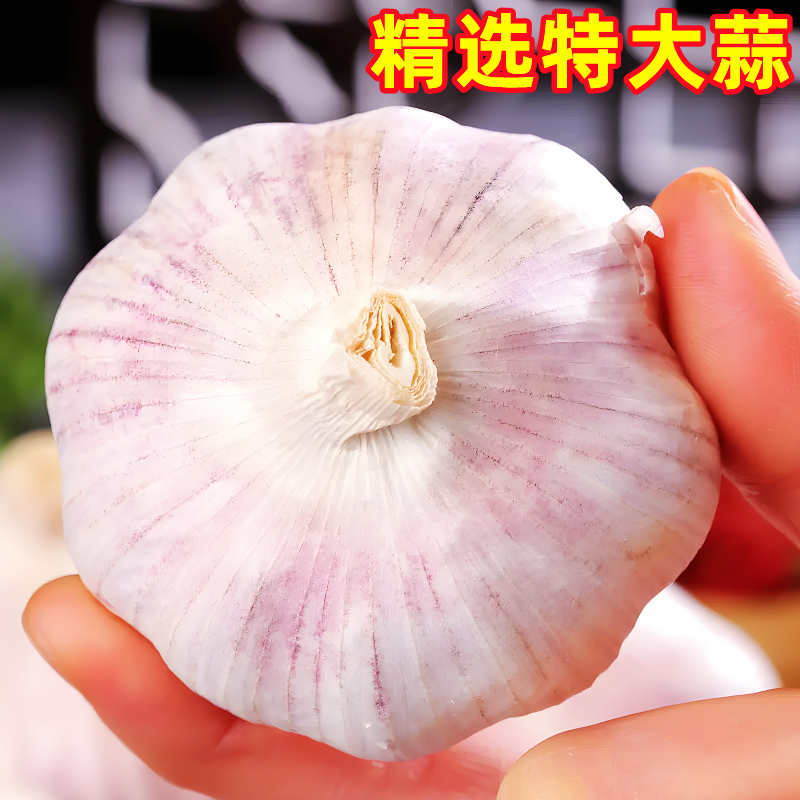 云南新鲜大蒜干蒜头5斤特大整箱紫皮大蒜多瓣蒜种子蒜批发10包邮