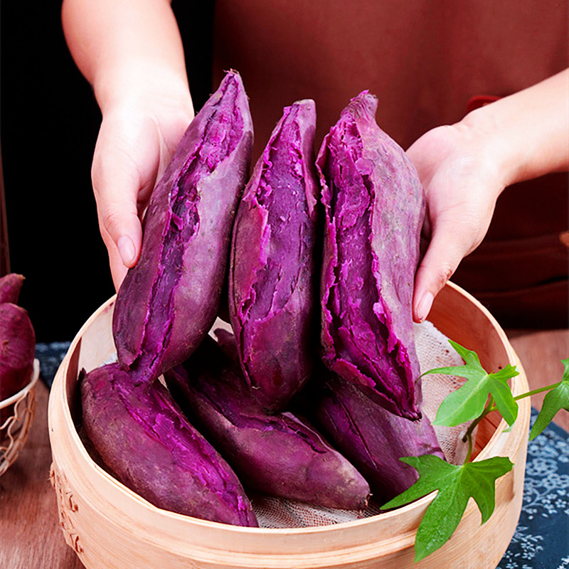 广西新鲜10斤现挖沙地板栗蜜薯番薯 黄六爷四季鲜番薯