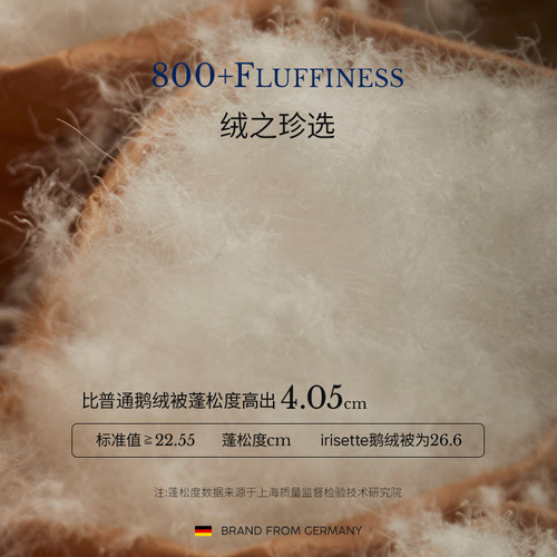 irisette德国抗菌羽绒被95白鹅绒冬被加厚保暖双人被芯春秋被子 - 图2