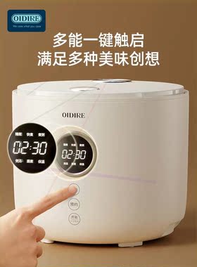 电饭煲家用正品小1人2一3迷你智能多功能小型煮饭锅电饭锅