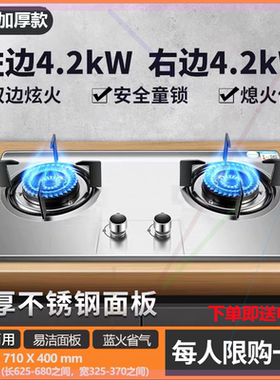 德国正品燃气灶双灶家用台式嵌入式天然气液化气猛火不锈钢煤气灶