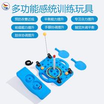 Early Education System Training Equipment Home Kindergarten Scooter Children Balance Wood Smart Board Balance Bench Teaching Toys