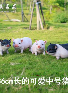 花园超市动物假猪装饰玻璃钢仿真小猪雕塑摆件树脂两头乌黑猪模型