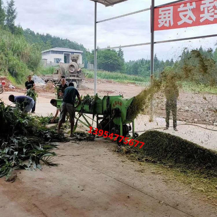 柴油机带动养牛羊用饲料铡草揉丝机厂图片玉米秸秆粉碎揉搓机价格 - 图1