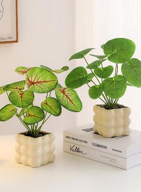 桌面仿真绿植室内办公桌工位植物盆栽造景装饰摆件绿萝家居装饰品