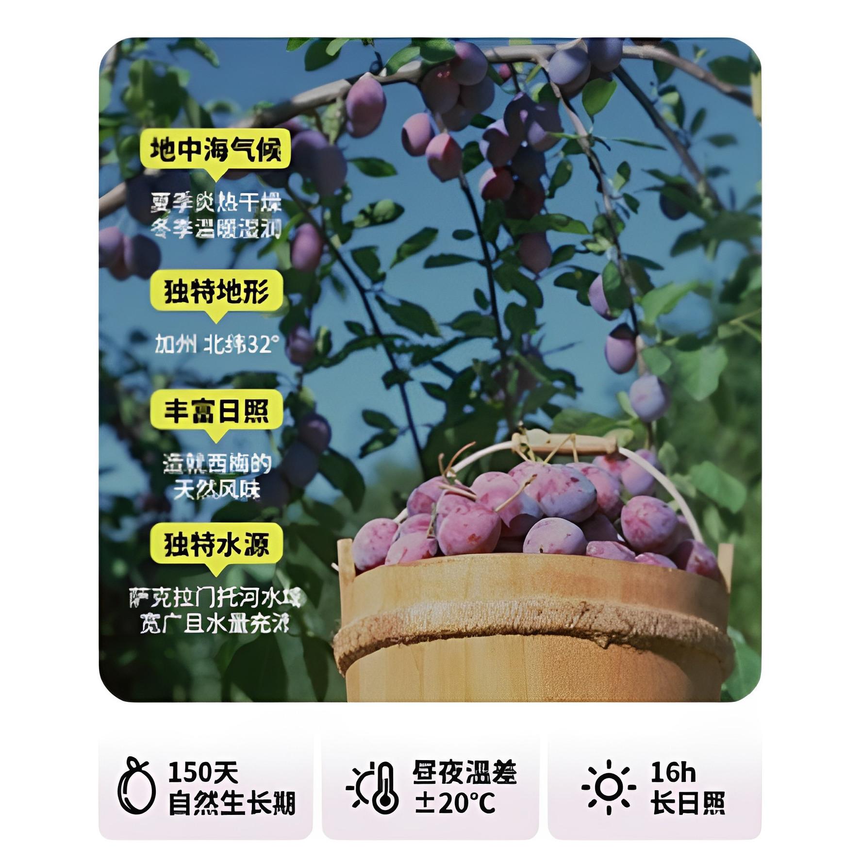 复购NO.1！大餐救星！轻功姐姐西梅汁仙仙饮酵素白芸豆益生元