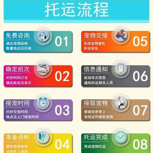 宠物托运猫咪狗狗自营专车宠物托运邮寄运输服务安全快捷宠物托运 - 图1