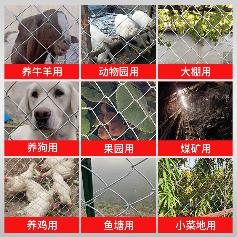 镀锌钢丝网户外围护栏网铁丝网家用养殖牛羊拦鸡网菜园防锈勾花网 - 图2