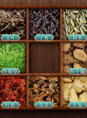 南京同仁堂艾灸宝 电加热护膝宝家用艾绒护腰宝艾灸肩颈宝
