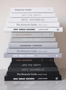 22-30CM多尺寸黑白灰简约现代仿真书 样板房家居展厅书柜装饰书