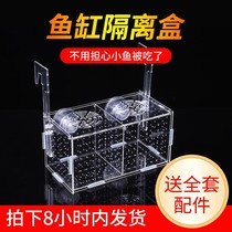 Fish Tank Isolation Box Propagation Hatchbox Bucket Fish Rearing Peacock Fish Production House Seawater Transparent Acrylic Turtle Hair Color