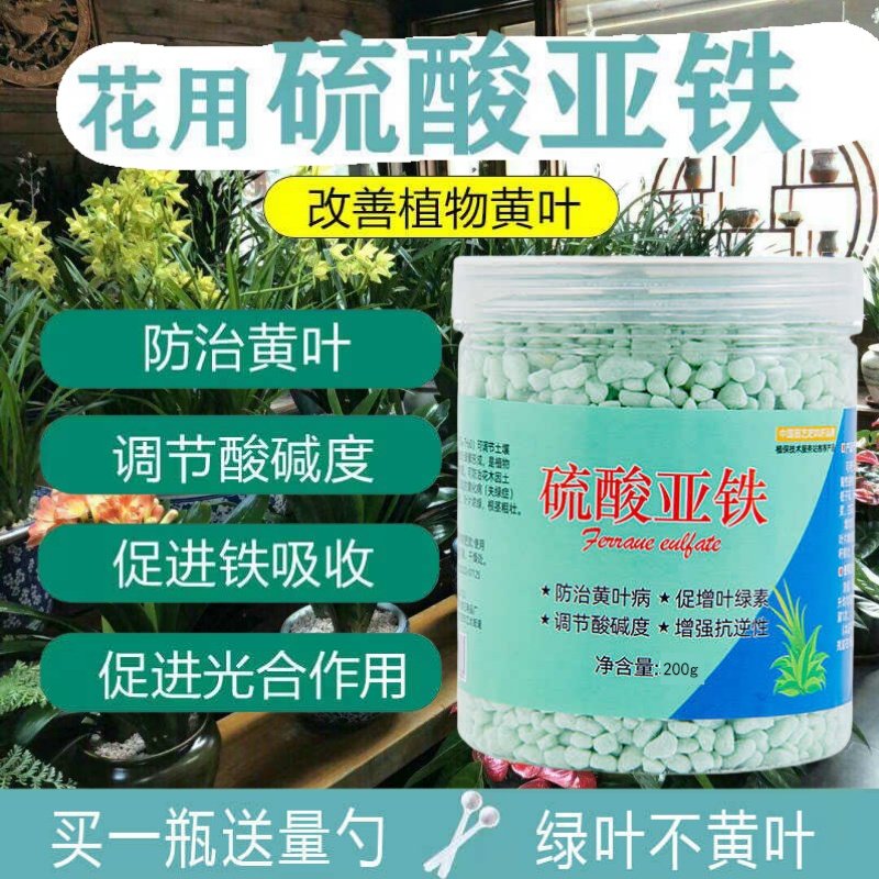 防治黄叶花肥硫酸亚铁通用水溶肥料茉莉花杜鹃花栀子花用酸性肥料,淘宝优惠券,粉丝福利购,淘宝优惠卷