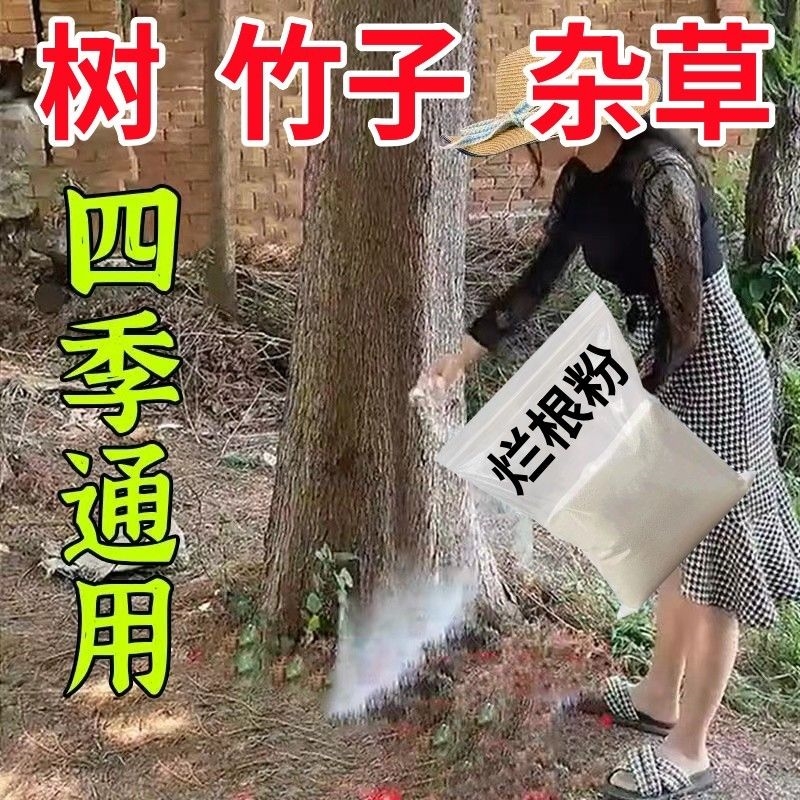 四季通用烂根强效通用灭树药树枯死腐蚀大树根杂草杂树颗粒剂肥料 - 图1