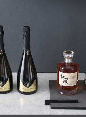 收纳酒柜家居摆件厨房仿真酒展厅