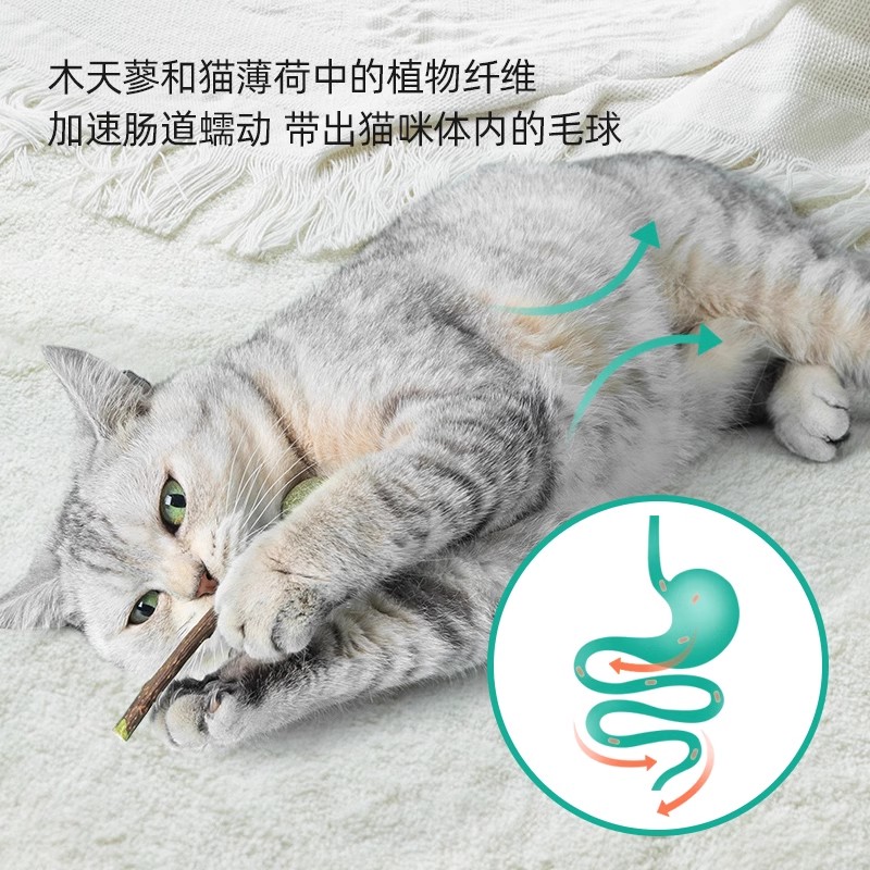 猫薄荷球棒棒糖逗猫咪舔舔乐猫玩具木天蓼磨牙棒洁齿猫草猫咪零食 - 图1