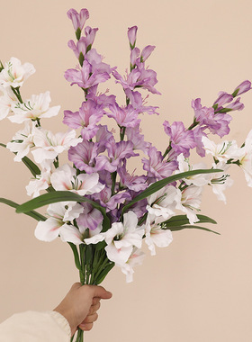 仿真剑兰紫荆花家居装饰摆件