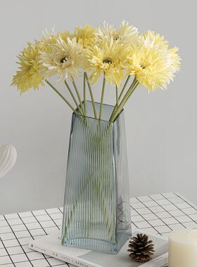 禹涵千层菊仿真花非洲菊雏菊弗朗