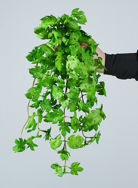 迷你仿真绿植挂壁垂吊家居装饰