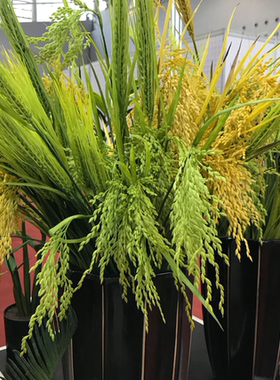 塑料稻穗摄影道具舞台布景装饰花
