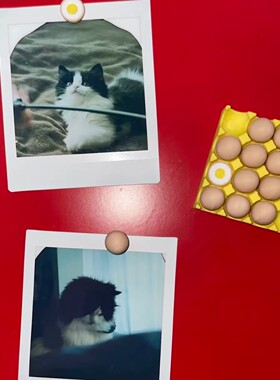 磁吸鸡蛋托冰箱贴可吸拍立得便签
