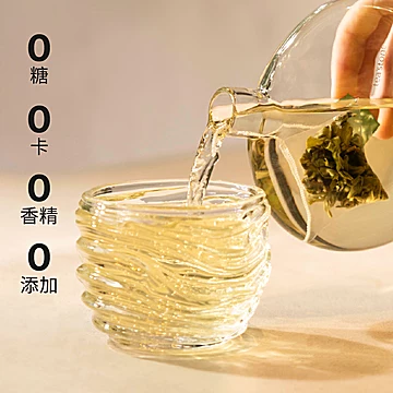 teastone原叶袋泡茶冷泡茶包冲泡饮品[5元优惠券]-寻折猪