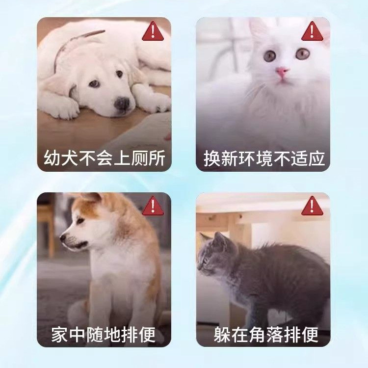 狗狗定点排便上厕所神器宠物幼犬防乱拉屎尿诱导大小便训练诱导剂,淘宝优惠券,粉丝福利购,淘宝优惠卷