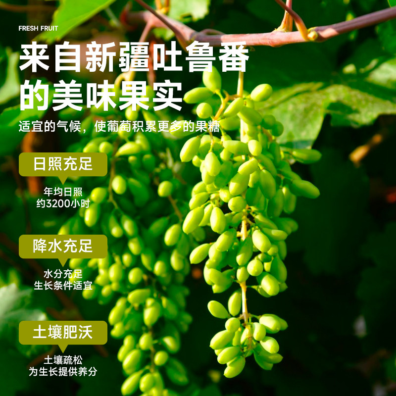  良品魅力葡萄干