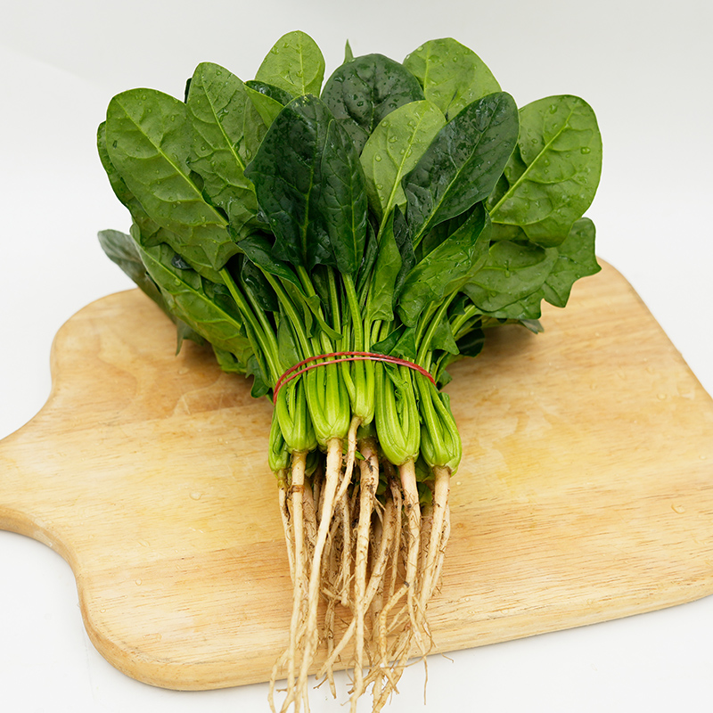菠菜1-5斤 新鲜采摘时令农家蔬菜火锅食材大叶菠菜红根赤根波斯菜 - 图1